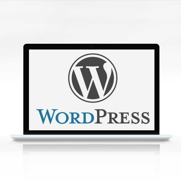 Word Press Coaching Webdesign SEO E-Commerce